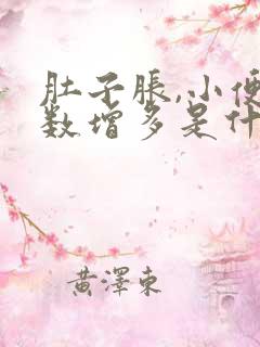 肚子胀,小便次数增多是什么原因