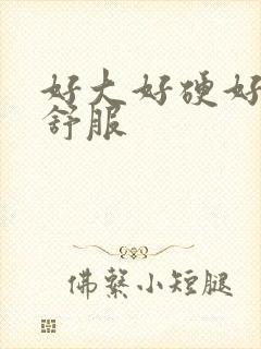 好大好硬好爽好舒服