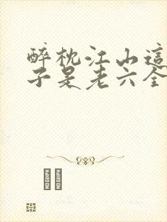 醉枕江山这个皇子是老六全