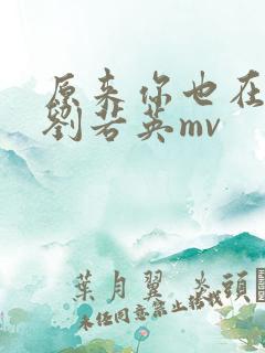 原来你也在这里刘若英mv