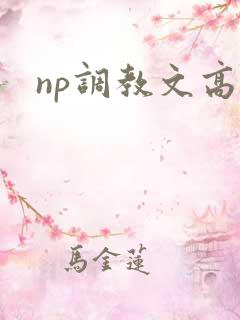 np调教文高h