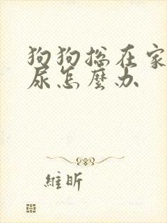 狗狗总在家里拉尿怎么办