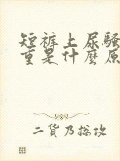 短裤上尿骚味特重是什么原因