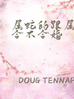 属蛇的跟属龙的合不合婚