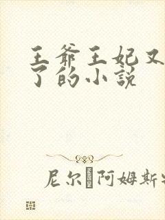 王爷王妃又穷疯了的小说