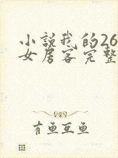 小说我的26岁女房客完整版