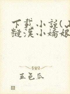 下载小说(山野糙汉小娇娘)