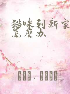 猫咪到新家乱尿怎么办