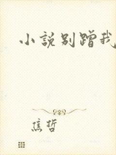 小说别蹭我热度