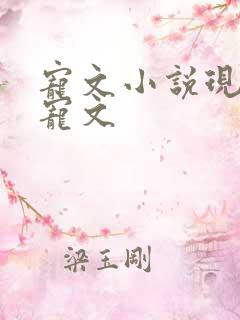 宠文小说现代甜宠文