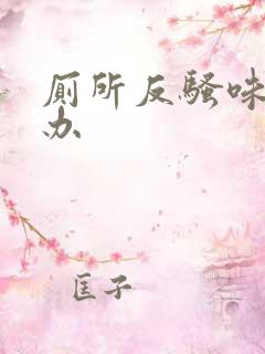 厕所反骚味怎么办