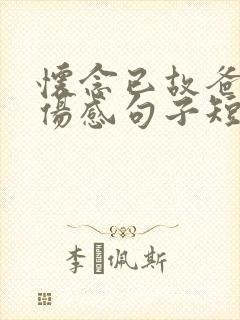 怀念已故爸爸的伤感句子短句