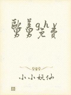 欧美g h v男男免费