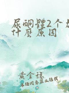 尿酮体2个加号什么原因