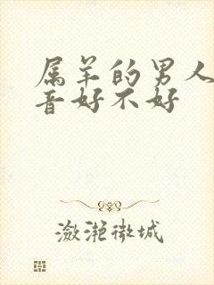 属羊的男人戴观音好不好