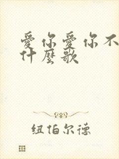爱你爱你不懂是什么歌