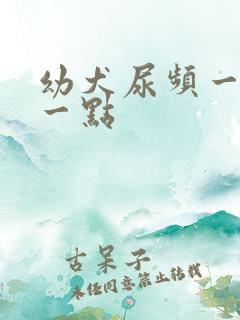 幼犬尿频一会尿一点