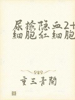 尿检隐血2+白细胞红细胞高