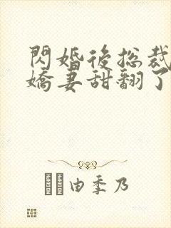 闪婚后总裁农村娇妻甜翻了