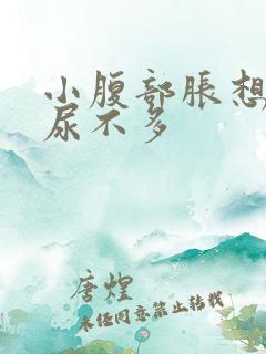 小腹部胀想尿又尿不多