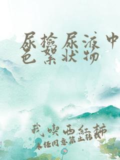 尿检尿液中有白色絮状物