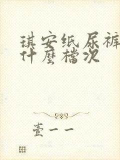 琪安纸尿裤属于什么档次