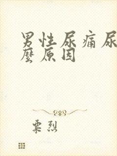 男性尿痛尿急什么原因