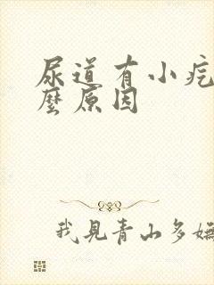 尿道有小疙瘩什么原因