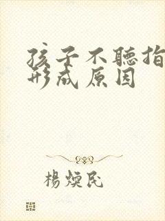 孩子不听指令的形成原因