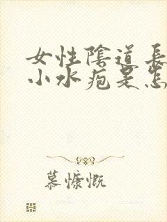 女性阴道长很多小水疱是怎么回事