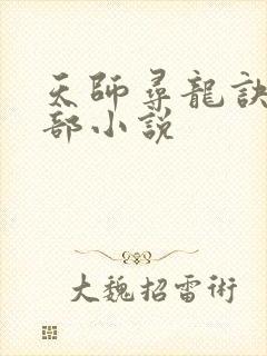 天师寻龙诀的全部小说