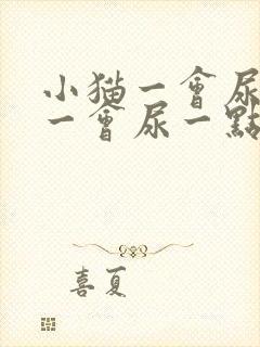 小猫一会尿一点一会尿一点