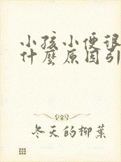 小孩小便很臭是什么原因引起的