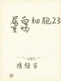 尿白细胞23严重吗