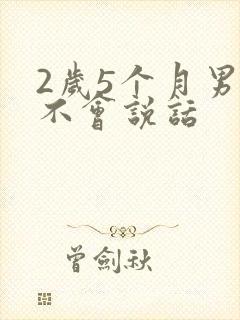 2岁5个月男宝不会说话