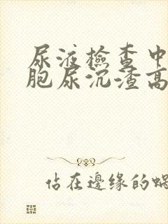 尿液检查中白细胞尿沉渣高是什么原因