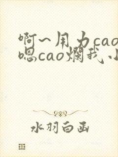 啊~用力cao嗯cao烂我小说