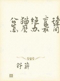 公猫绝育后乱尿怎么办最简单方法