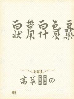 白带白色豆腐渣状用什么药