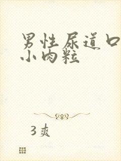 男性尿道口边有小肉粒