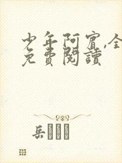 少年阿宾,全文免费阅读