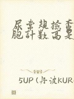 尿常规检查白细胞计数高是怎么回事