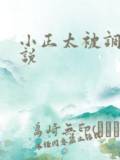 小正太被调教小说