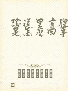 阴道里有腥臭味是怎么回事