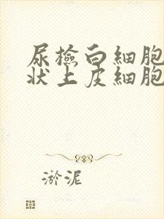 尿检白细胞和鳞状上皮细胞高