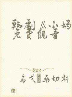 韩剧《小妈妈》免费观看