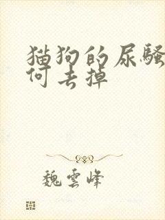 猫狗的尿骚味如何去掉