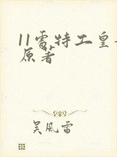 11处特工皇妃原著