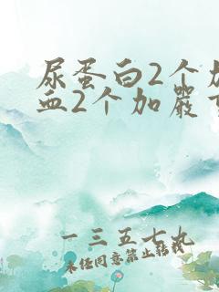 尿蛋白2个加隐血2个加严重吗