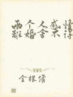 两个人感情不好离婚舍不得孩子怎么办